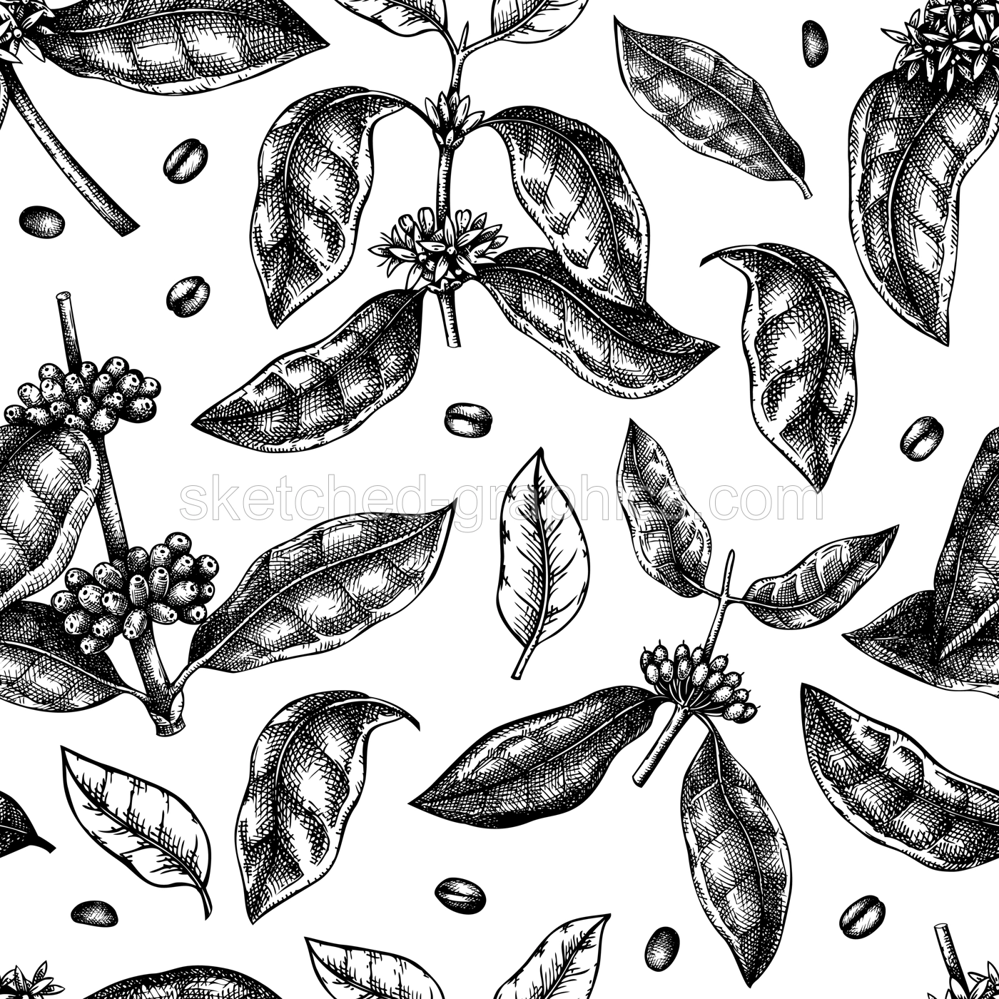 Hand sketched coffee plant seamless pattern. Vector background with hand drawn leaves, flowers, beans and fruits illustrations. For packaging, wrapping paper, brands, fabrics. Illustration